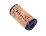 Ekspresowa dostawa 26560201 Filtr paliwa Landini