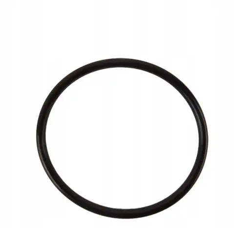 Oferta czasowa 3009744X1 Oring Landini