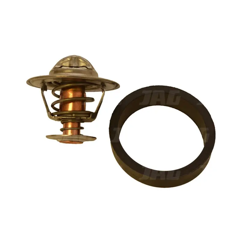 Oferta czasowa Termostat 3283589.02